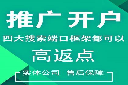 SEM公司案例研究：数据驱动营销策略